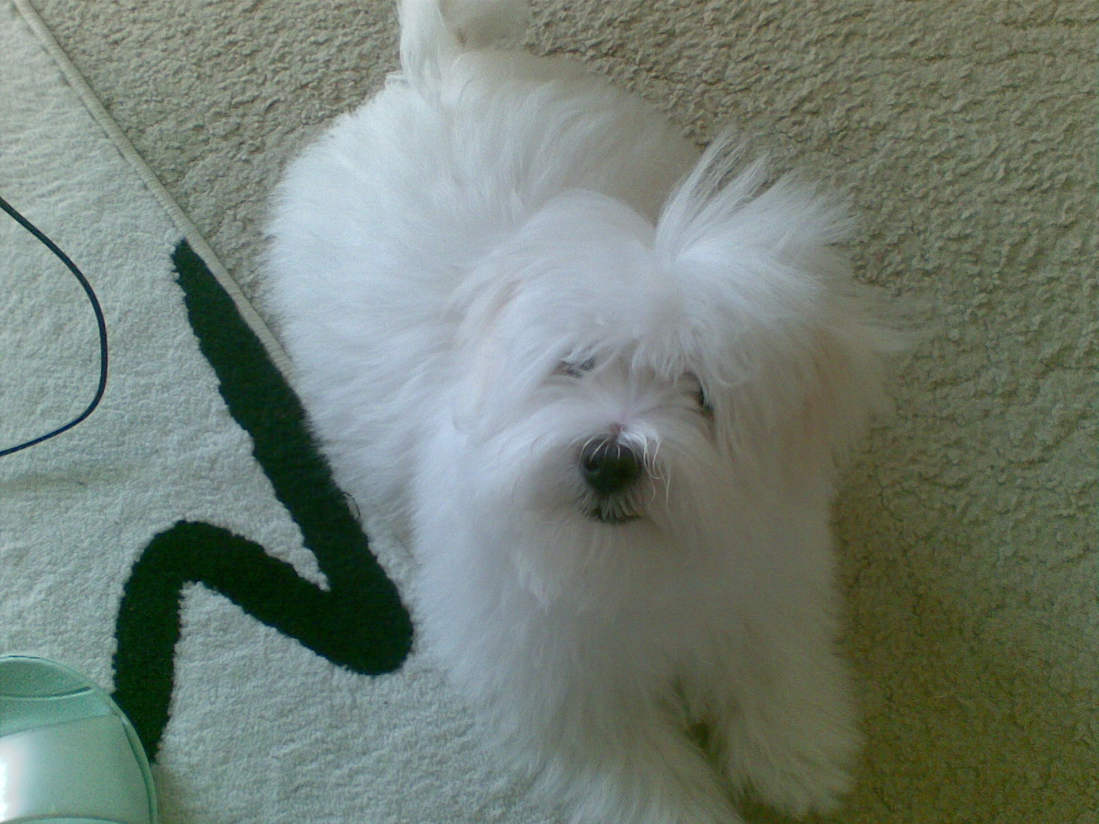 14092008.jpg
