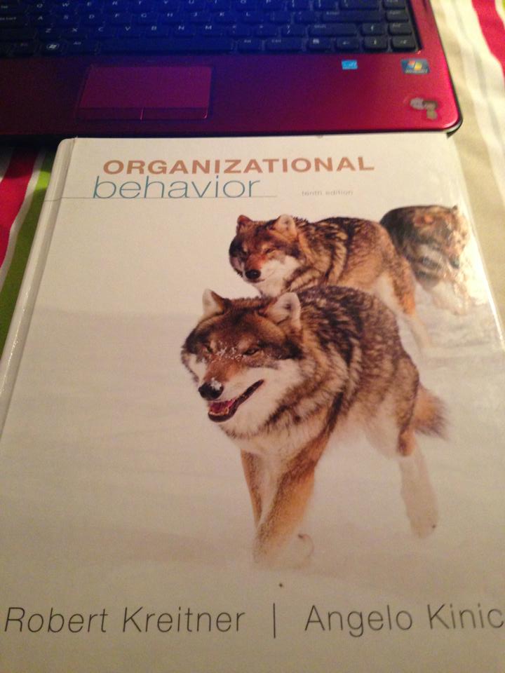 Organizational Behavior(10th)