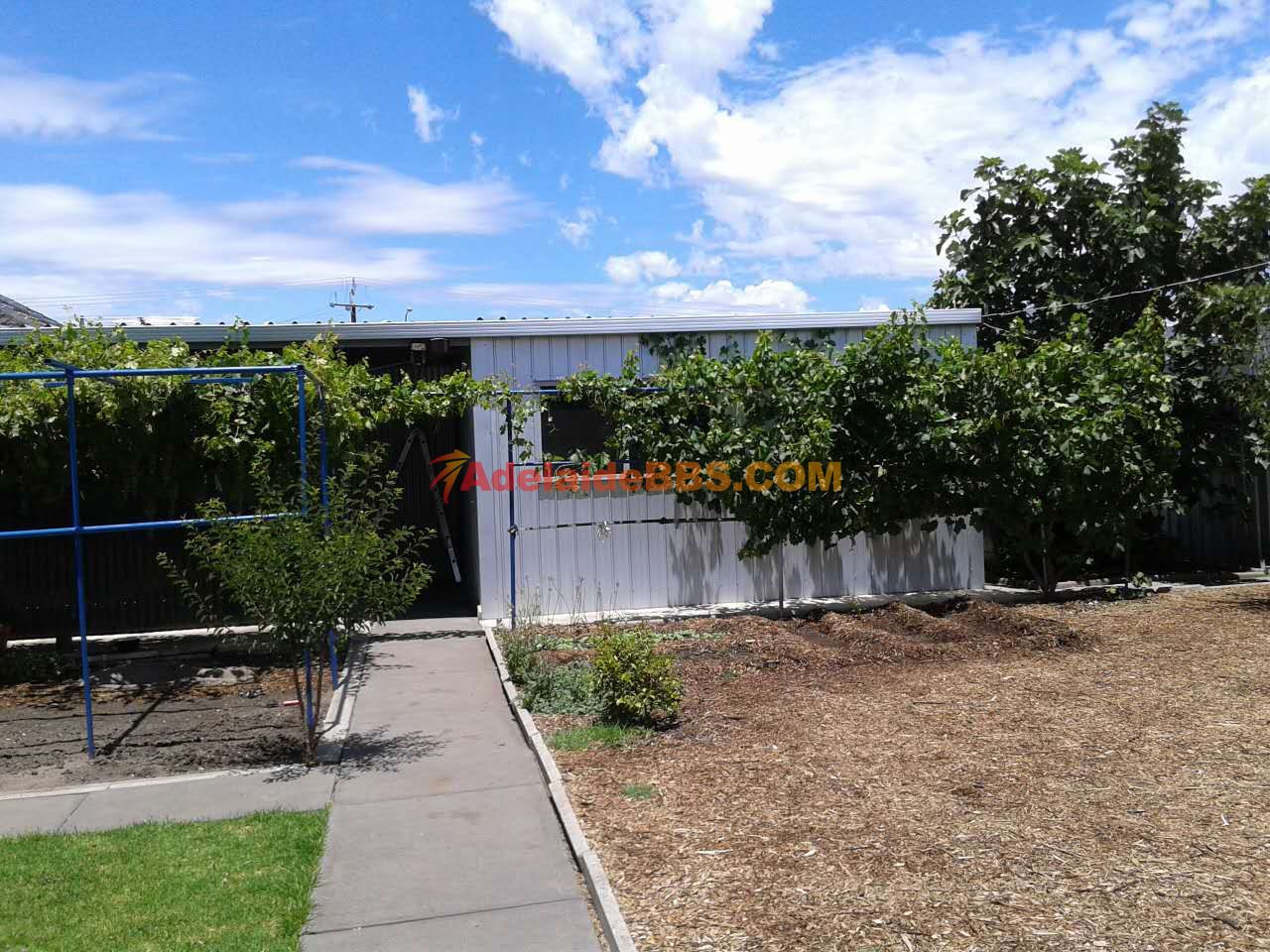 �������˵Ļ�԰