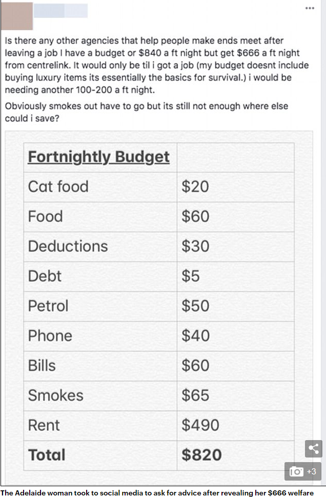 welfare budget.png