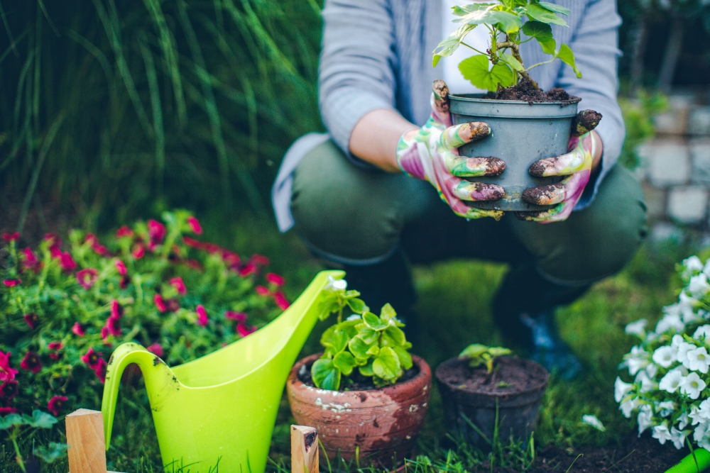 gardening.jpg