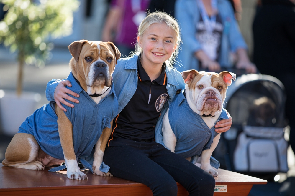 2018-Brisbane-Dog-Lovers-Show-Dog-Adoption-Zone-Rescue-Groups.jpg