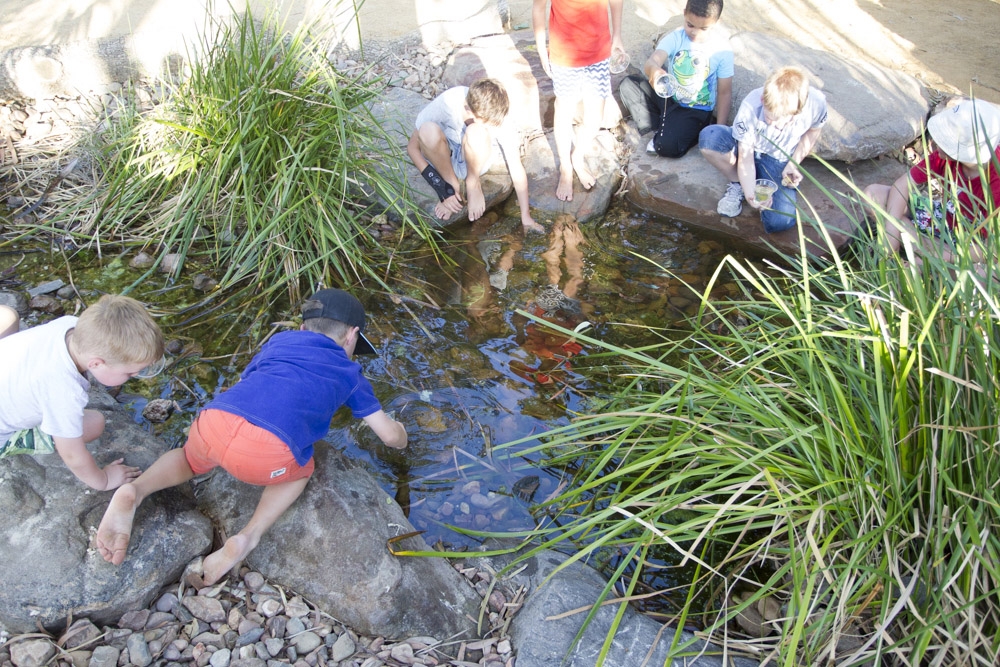 Adelaide-Zoo-Natures-Playground-Creek-Bed-Photo-by-Dave-Mattner.jpg