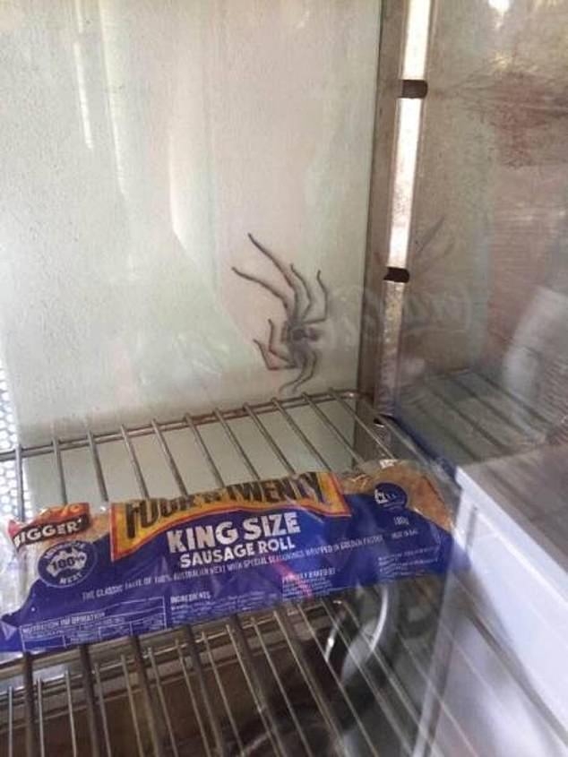 6149988-6386515-The_king_sized_sausage_roll_is_being_guarded_by_a_huge_spider_po.jpg