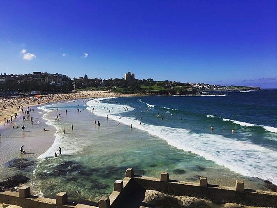 coogee-beach-on-a-sunny.jpg