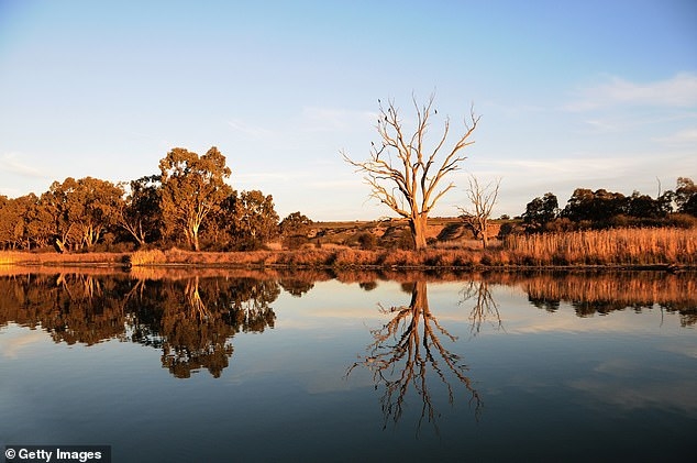 7412406-6482221-The_woman_moved_in_to_his_house_in_Mannum_stock_pictured_85km_ea.jpg