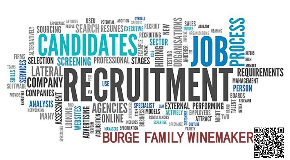 Burge Family Winemakers Recruitment-1.jpg