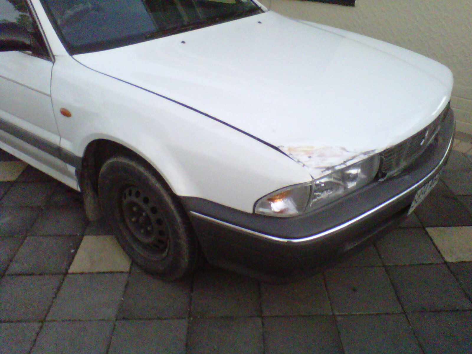 IMG00185-20110625-1731.jpg