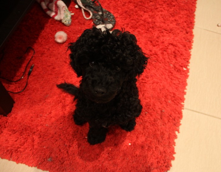 QQ��ͼ20110817110227.jpg
