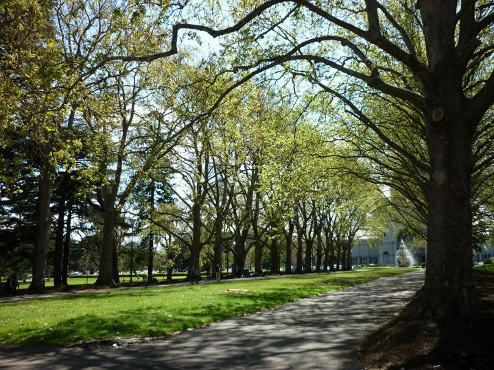 ��ׯ�����