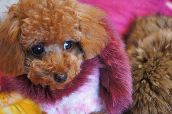 ������~~���Ŷ���Ҳ��Ҫë��������ů~~