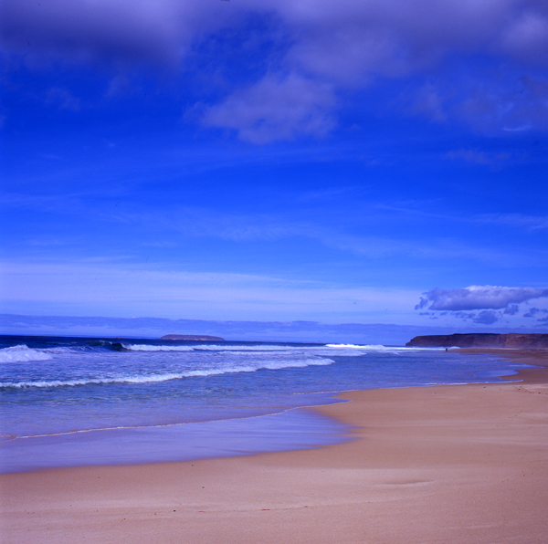 ��CARDYһ��ȥ�� Լ��