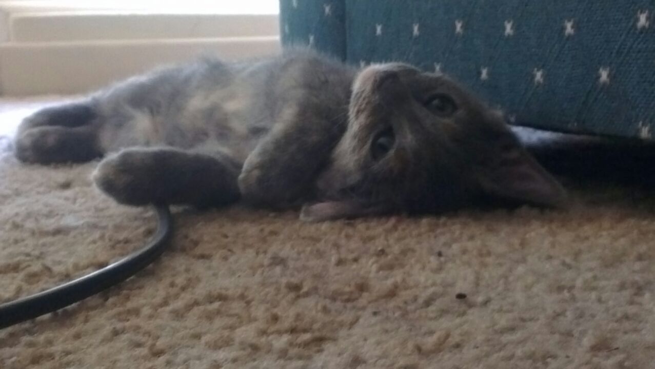 IMAG0004.jpg