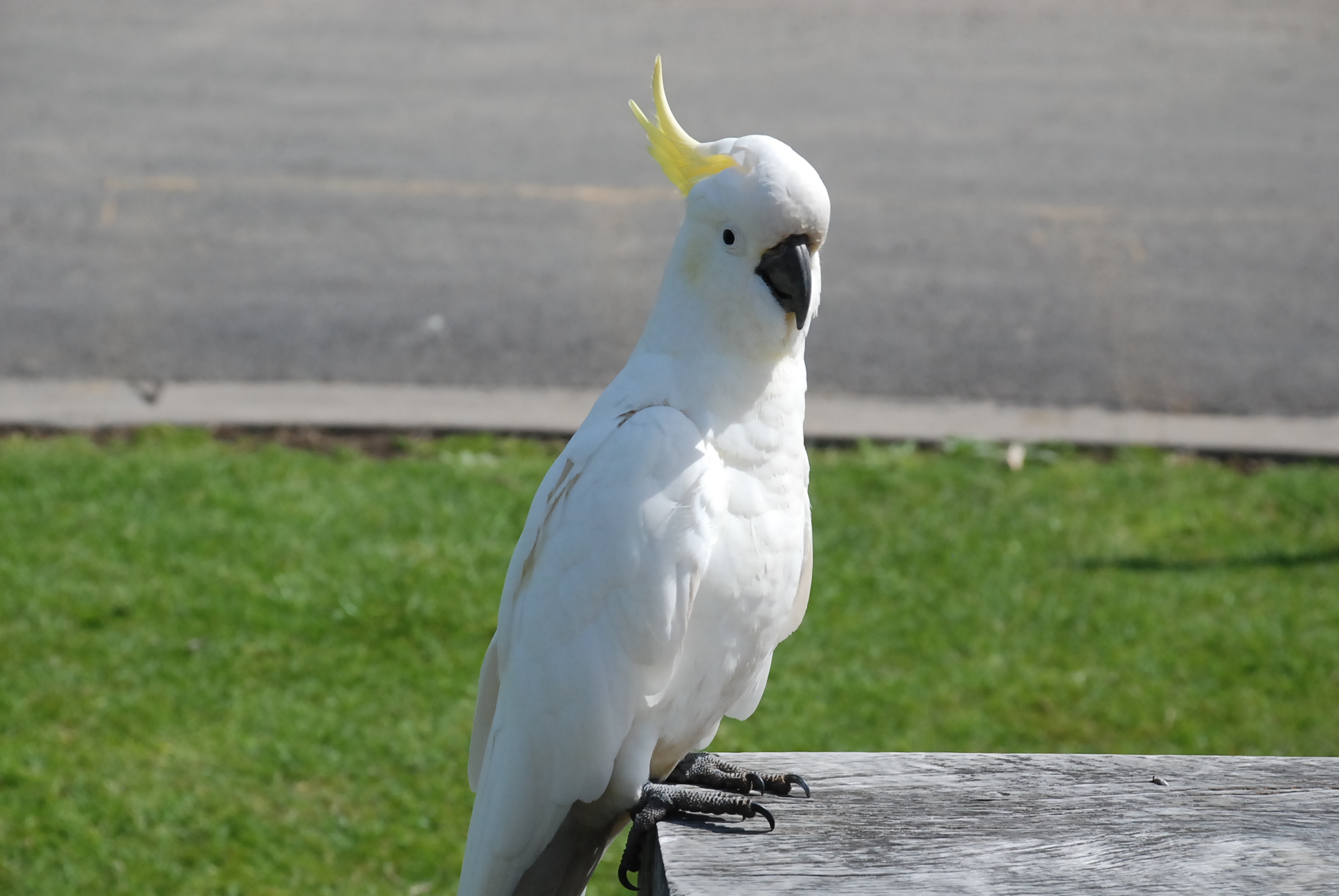 DSC_1691.JPG