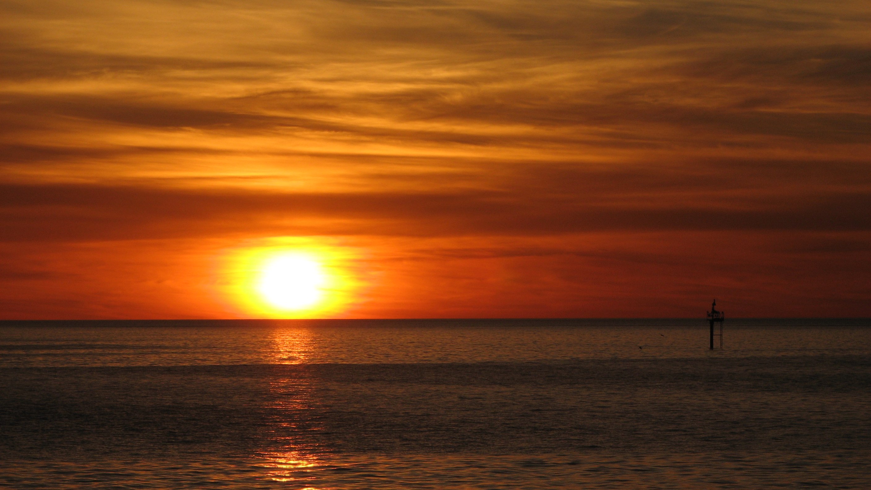 IMG_3664.JPG