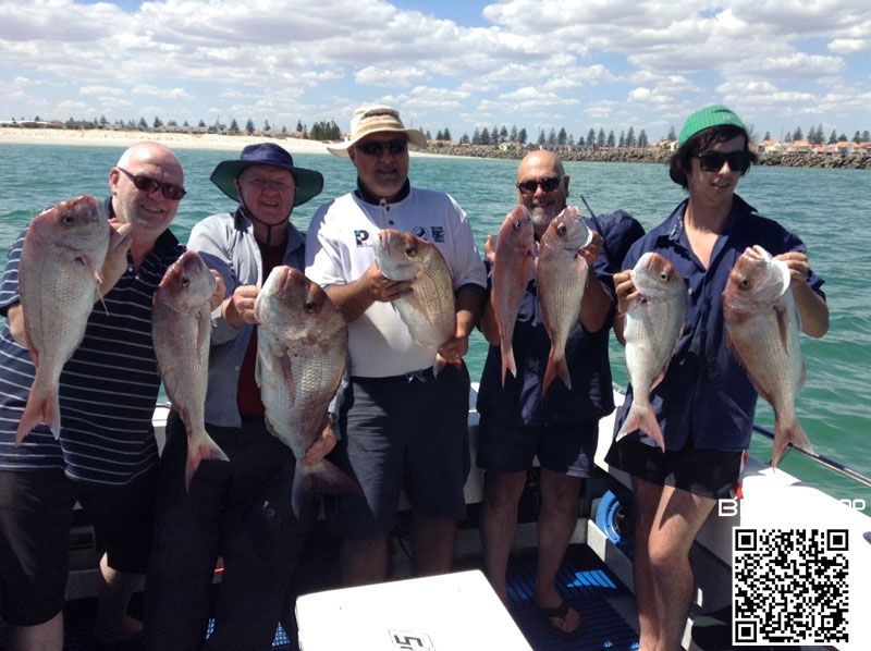 WeChat Image_20190310113614.jpg