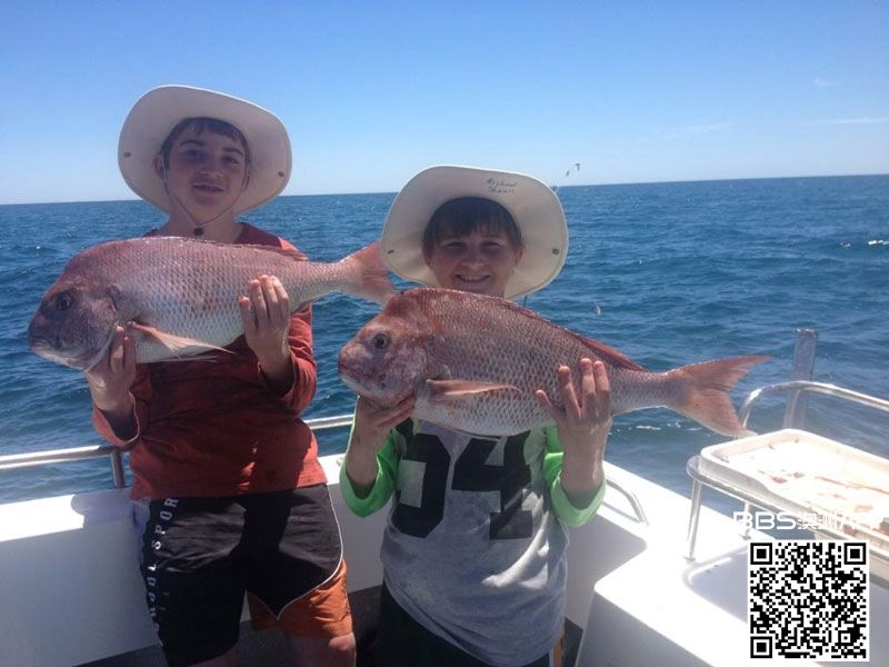 WeChat Image_20190310113619.jpg