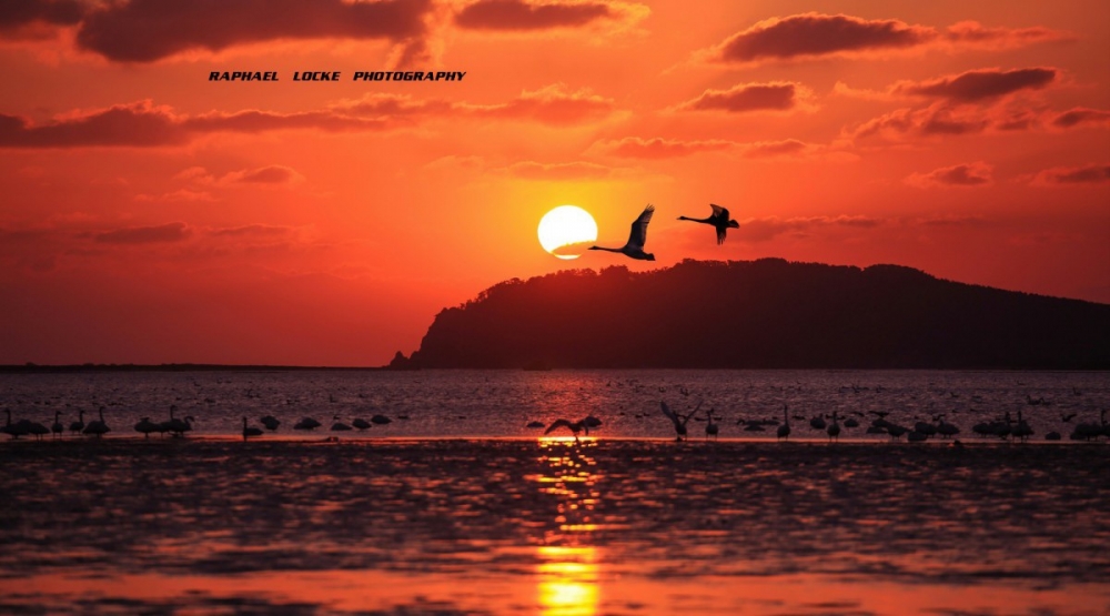 ��ʽ����1 (4).jpg