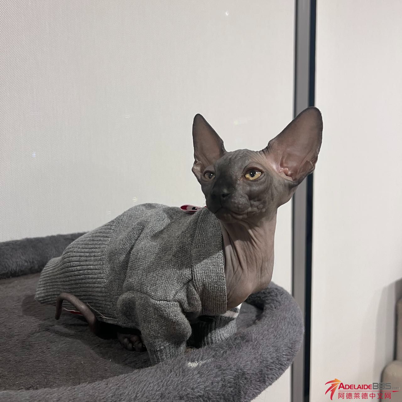 Weixin Image_20230730213123.jpg