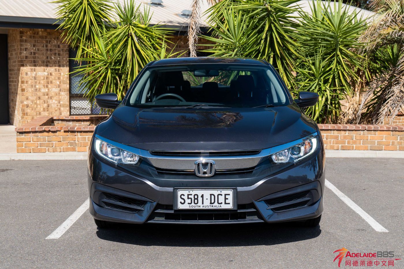 Civic-2.jpg