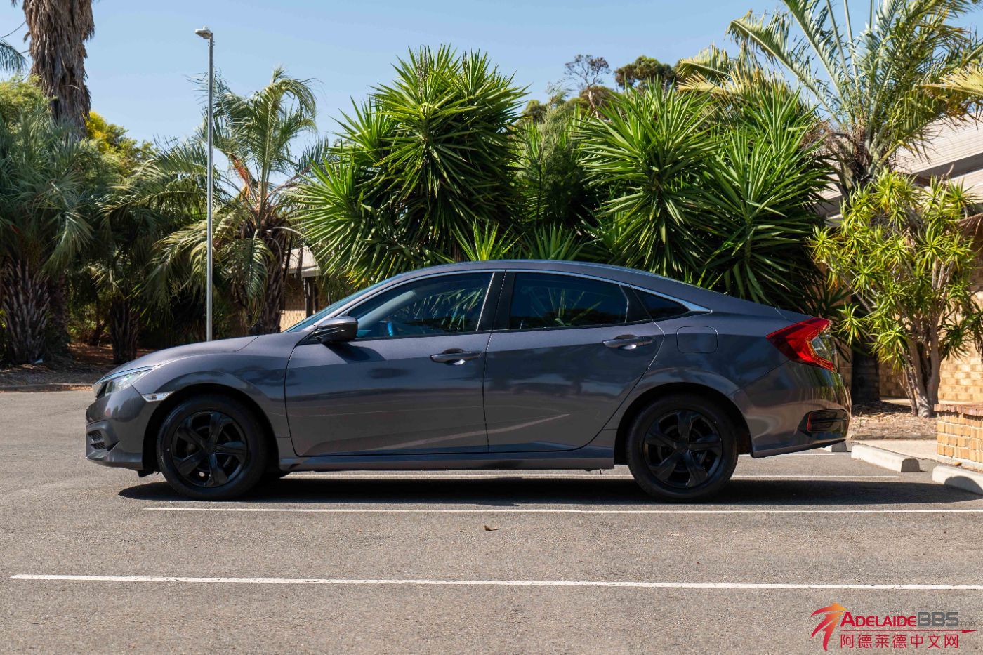 Civic-4.jpg