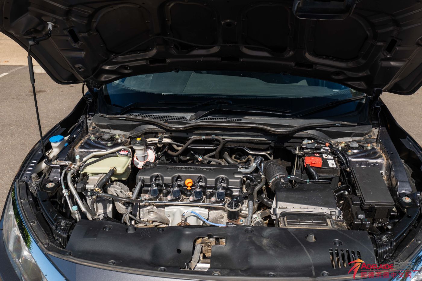 Civic-19.jpg