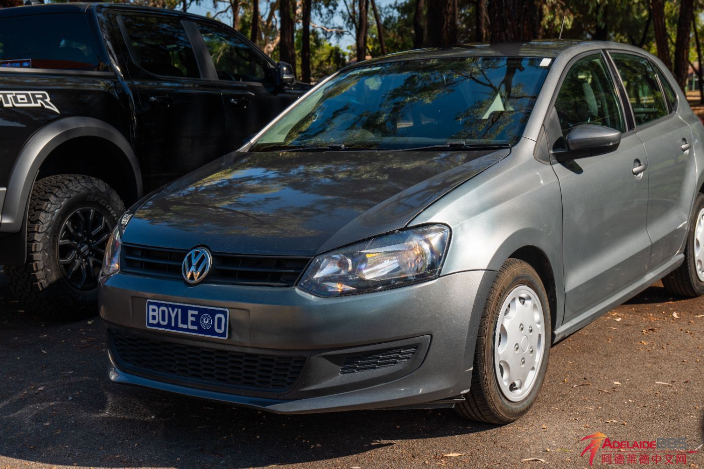 Polo-2.jpg