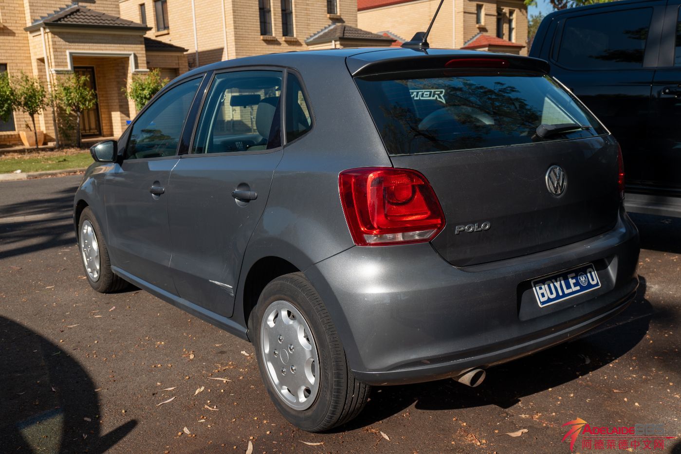 Polo-3.jpg
