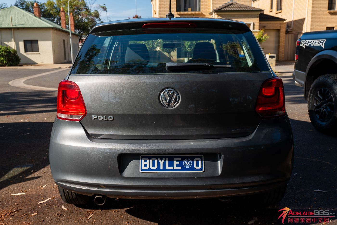 Polo-4.jpg