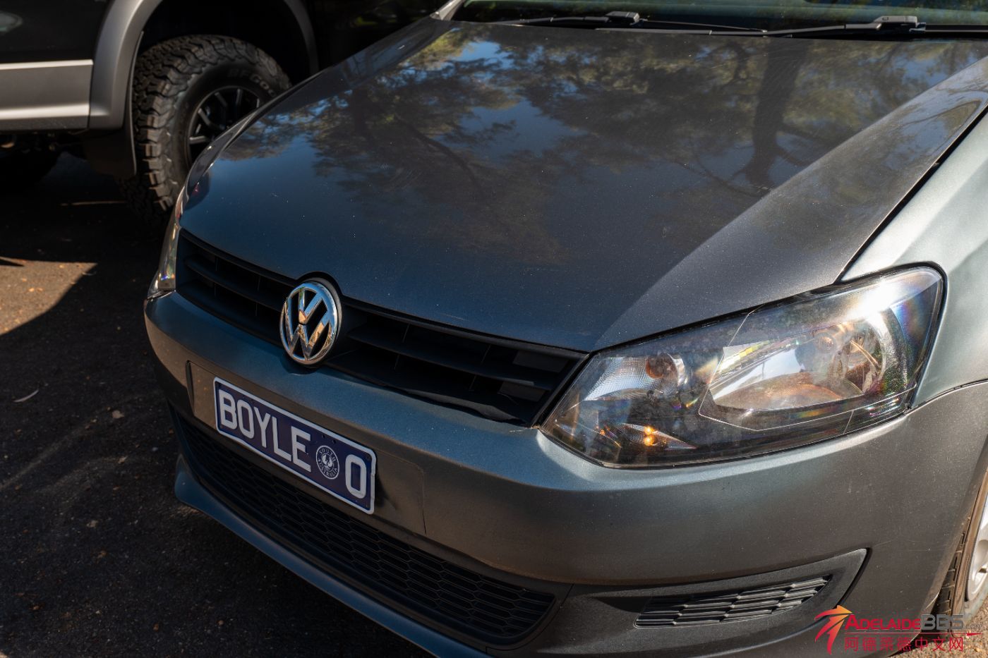 Polo-8.jpg