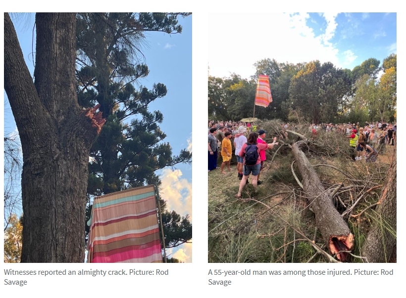 ֲ԰WOMADelaideֽ֦׹ˣ-2.jpg