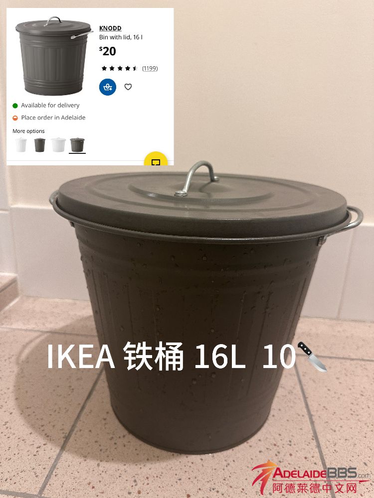 IMG_2483.jpeg