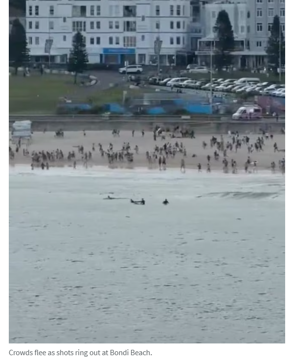 Bondi Beach�ֲ�ǹ������ǹ������ȷ��ϵ���ӣ�����16��42�ˣ�-4.jpg