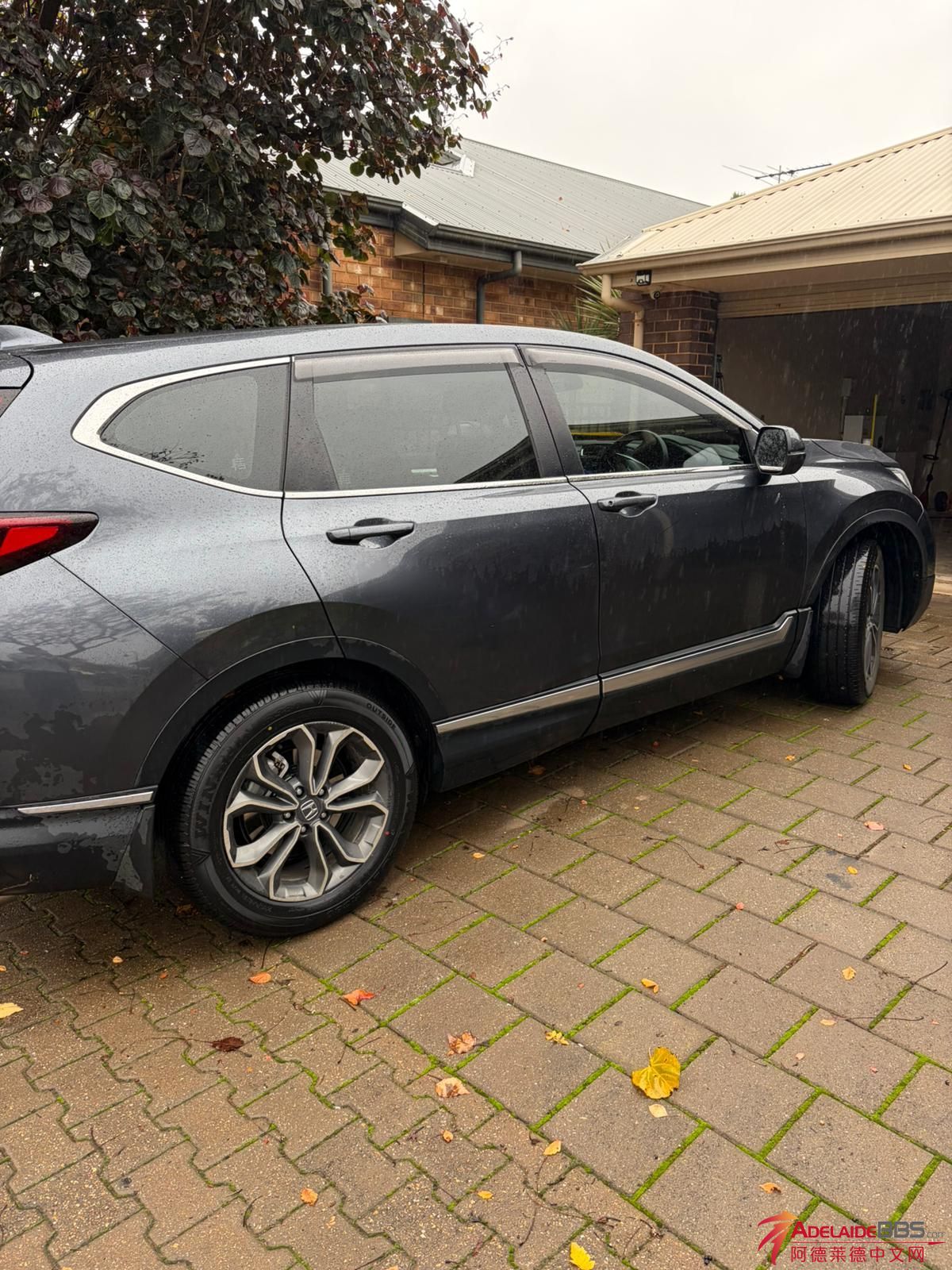 CRV-5.jpg