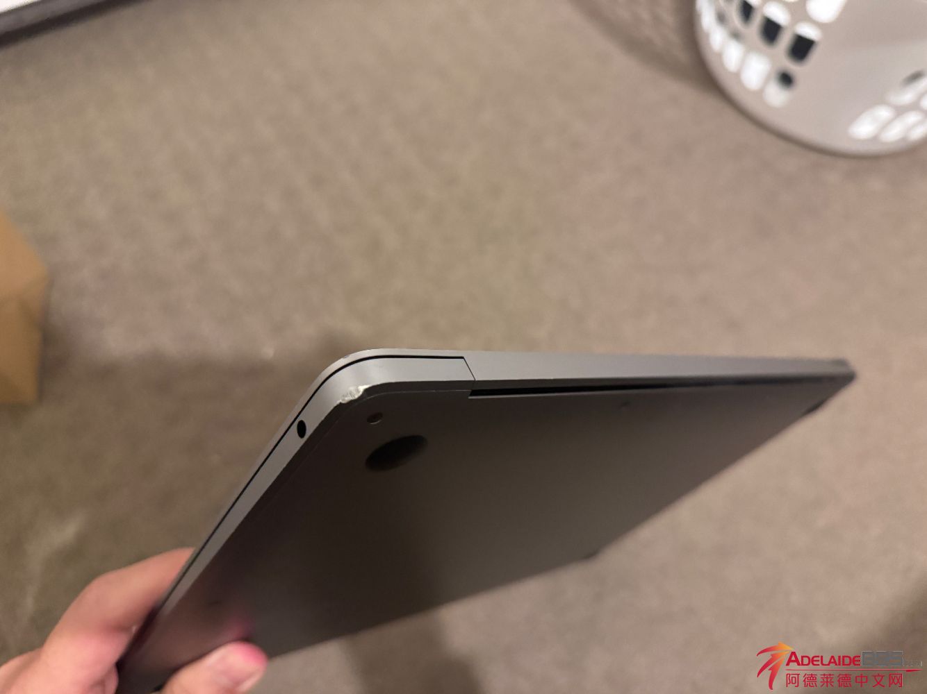 IMG_7054.jpeg