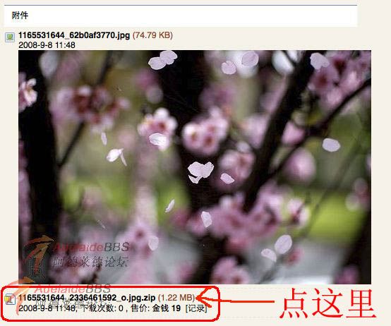 FirefoxScreenSnapz001.jpg