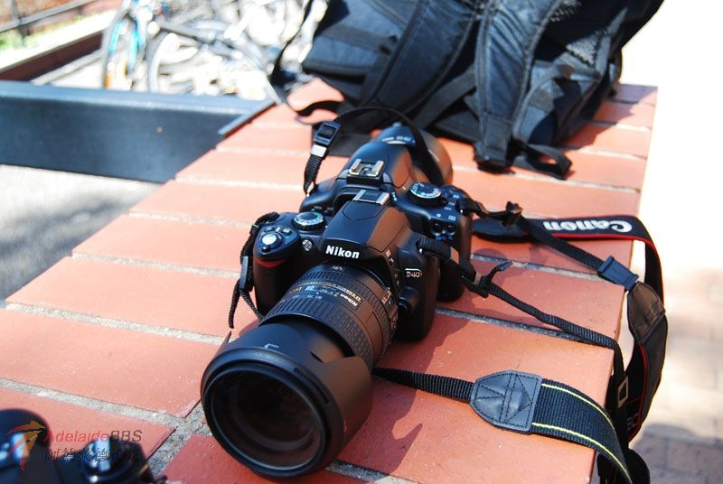 ���Ա����������ĵģ�