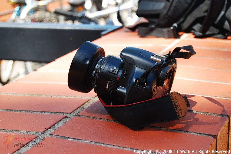 ��Ы�Ļ���~~