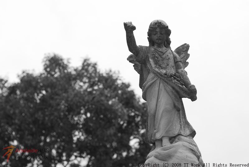 DSC_0632.jpg