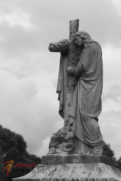 DSC_0656.jpg