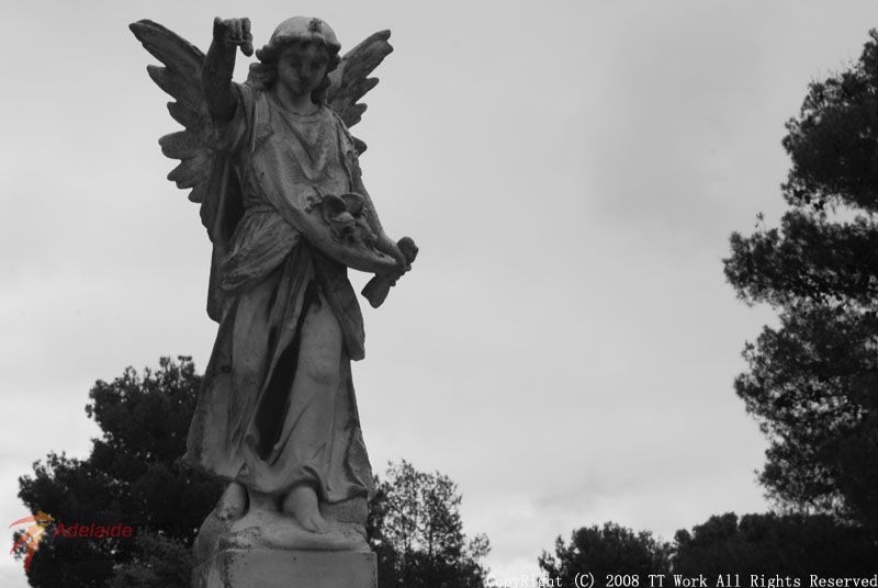 DSC_0661.jpg