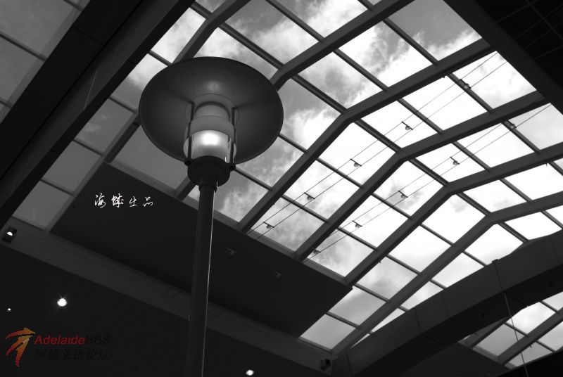 ��һ�źڰ׵�, �Լ���ϲ��