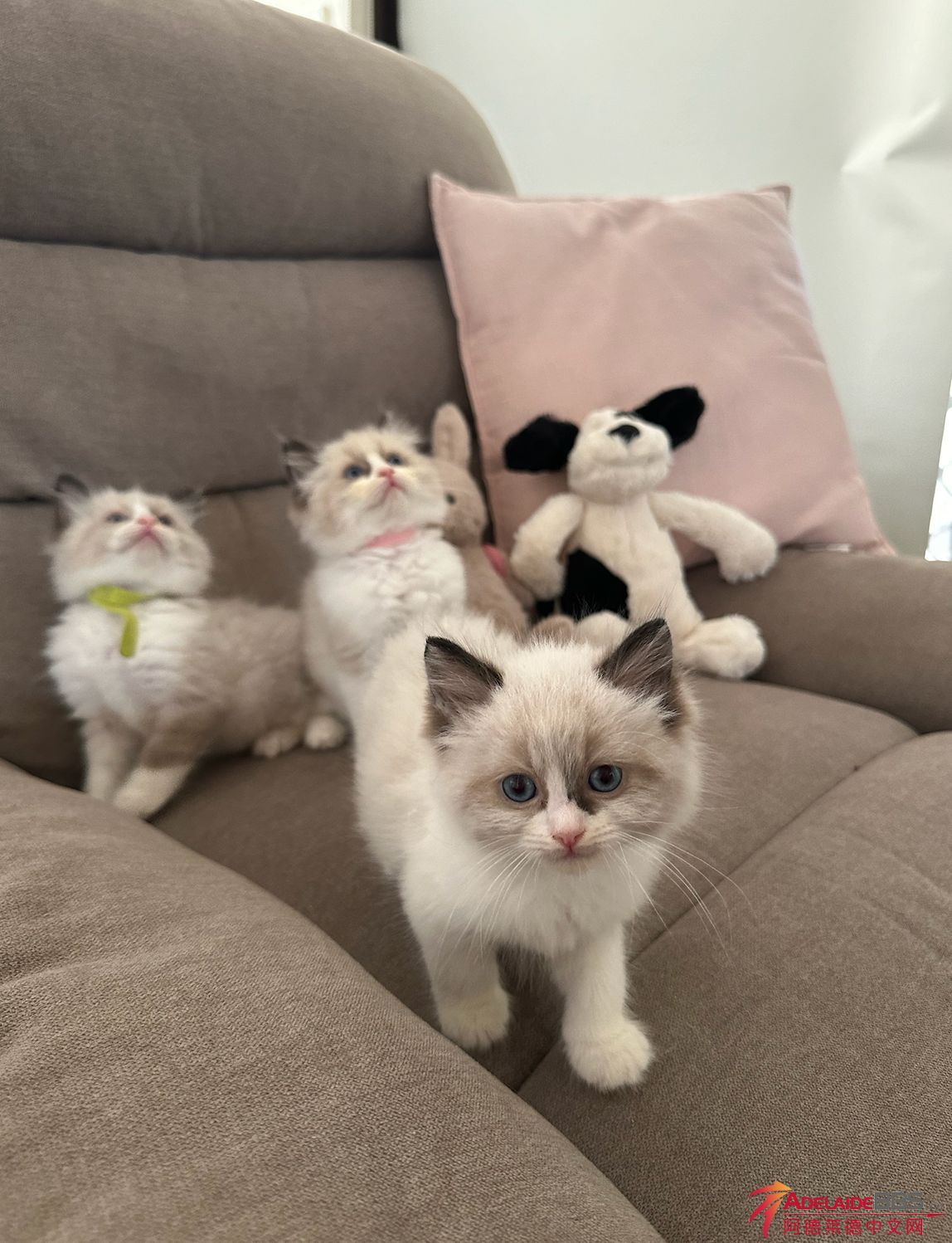 ����2023-11-23 ����4.26.45.png