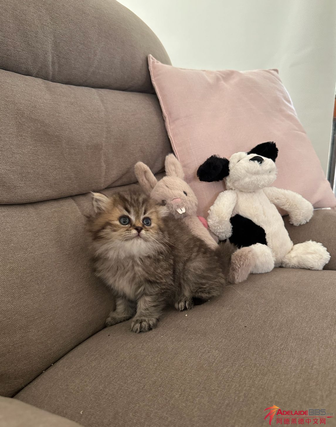 ����2023-11-23 ����4.27.14.png