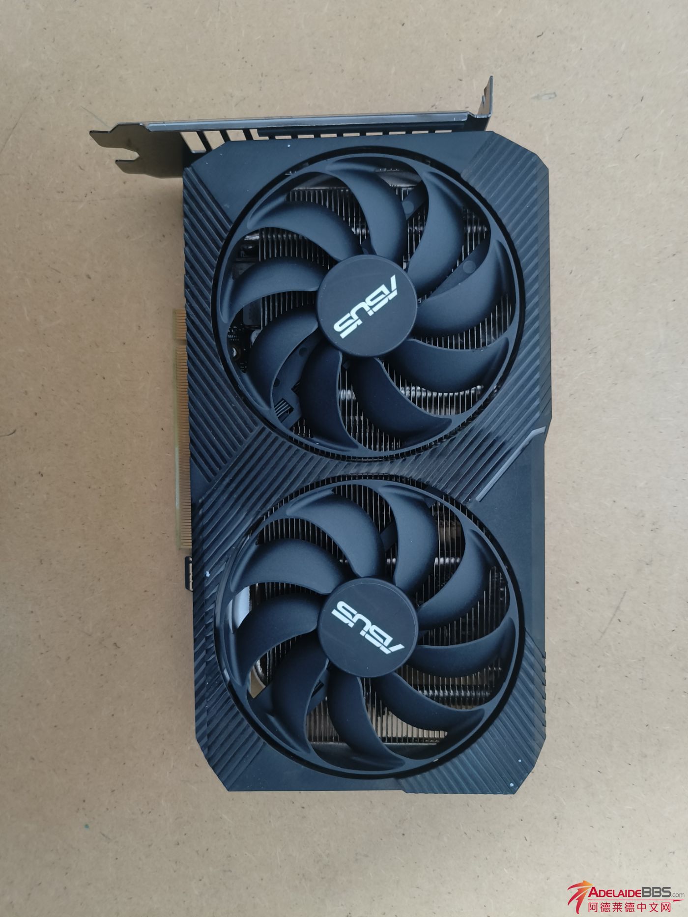 1000277027.jpg